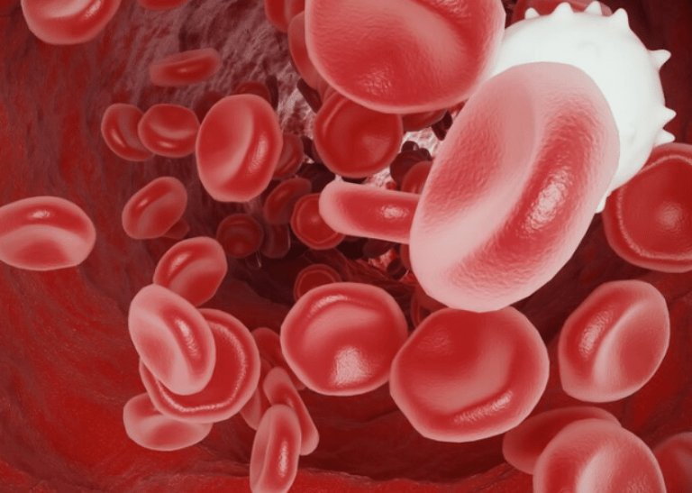 Leukemia-Mielositik-Kronik-(LMK)