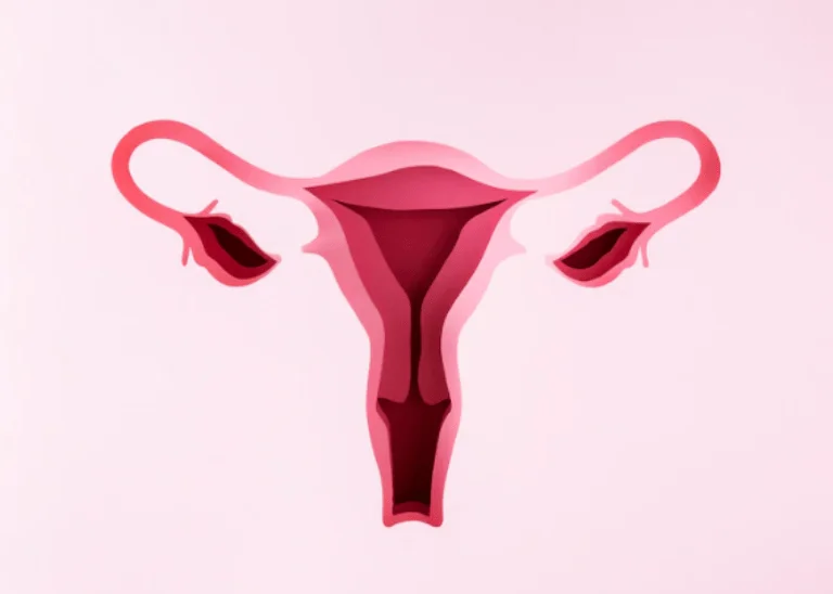 ilustrasi-serviks